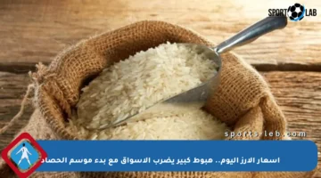 أسعار الأرز اليوم.. هبوط كبير يضرب الأسواق مع بدء موسم الحصاد